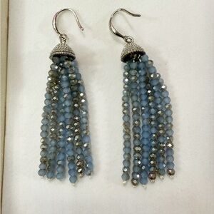 Blue and Silver Tassel Earrings with Crystal Beads